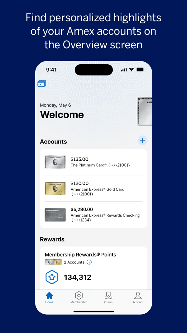 Amex iPhone screenshot 2