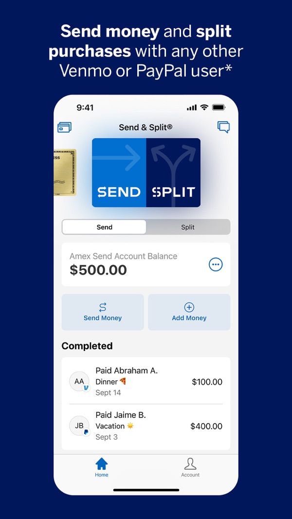 Amex iPhone screenshot 8