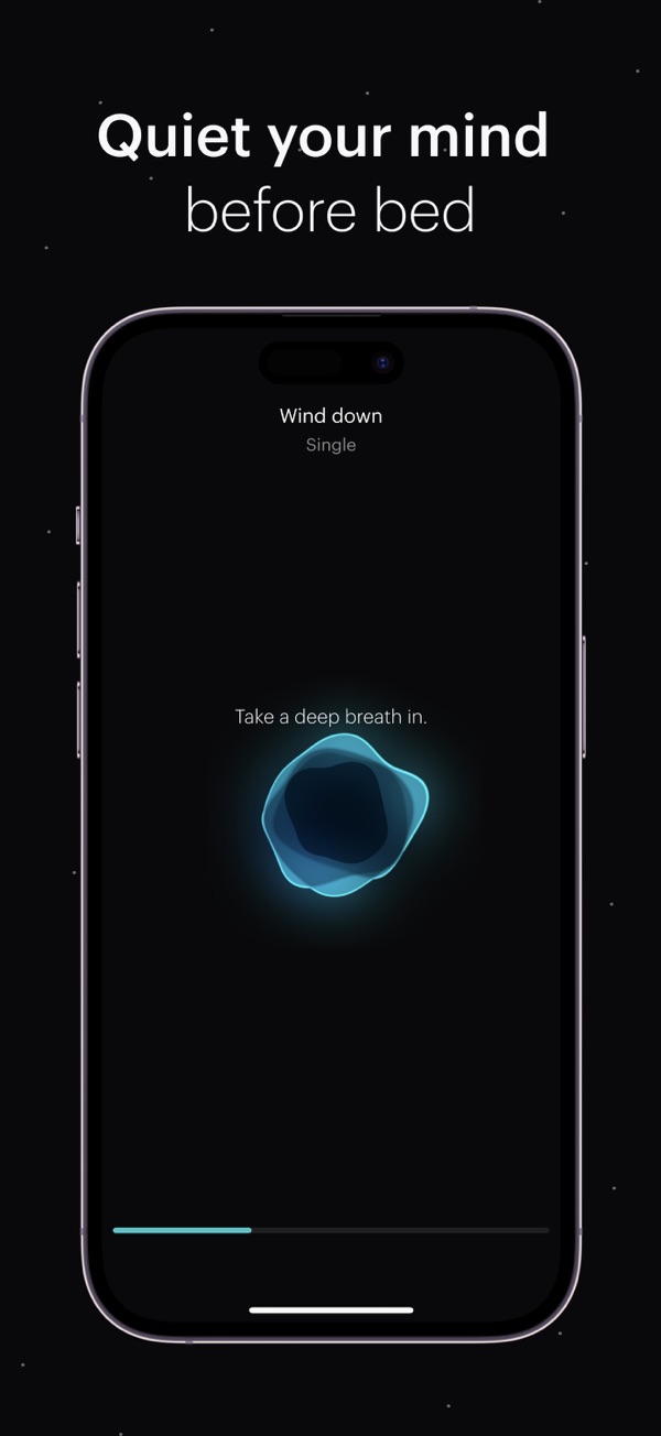 Balance iPhone screenshot 8
