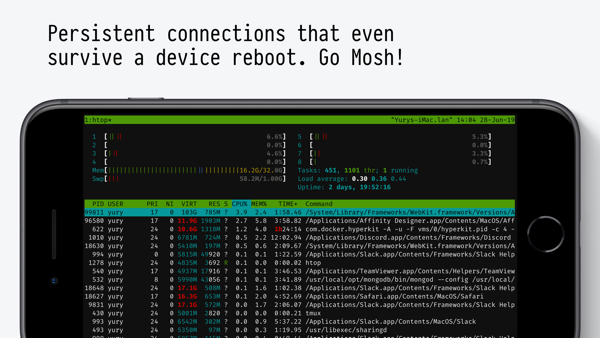 Blink Shell, Build & Code iPhone screenshot 1