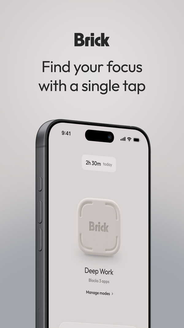 Brick iPhone screenshot 1