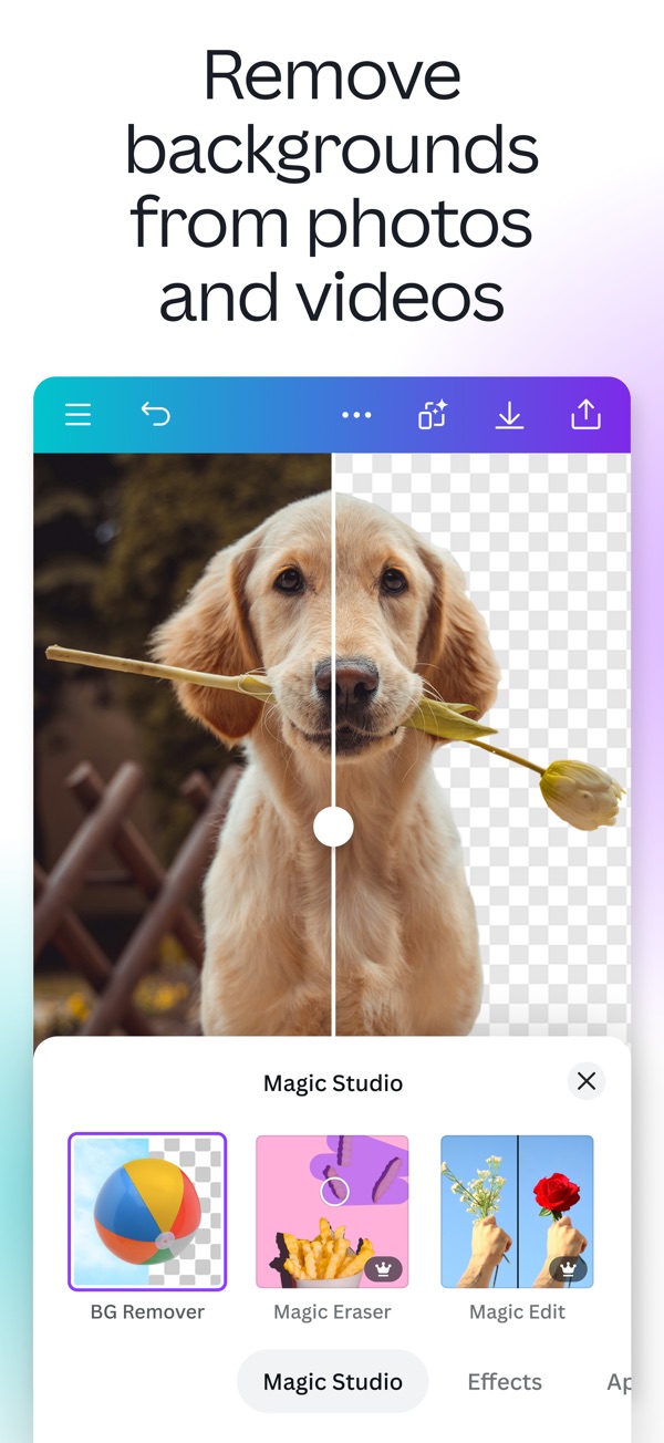 Canva AI Photo & Video Editor iPhone screenshot 9