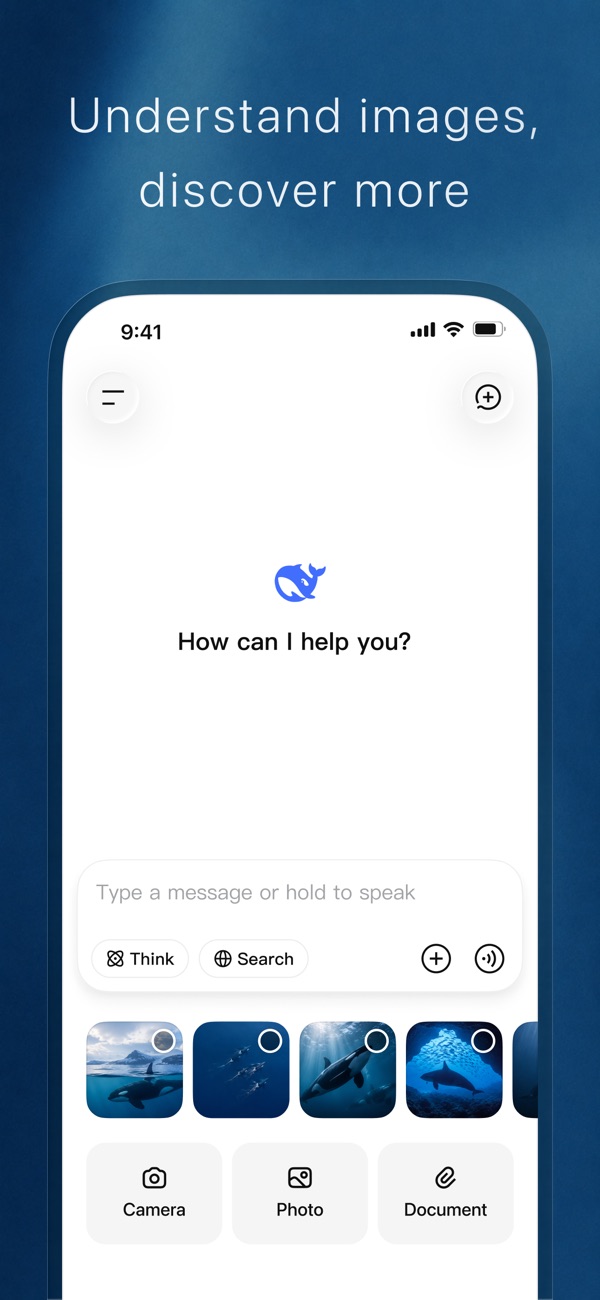 DeepSeek iPhone screenshot 2
