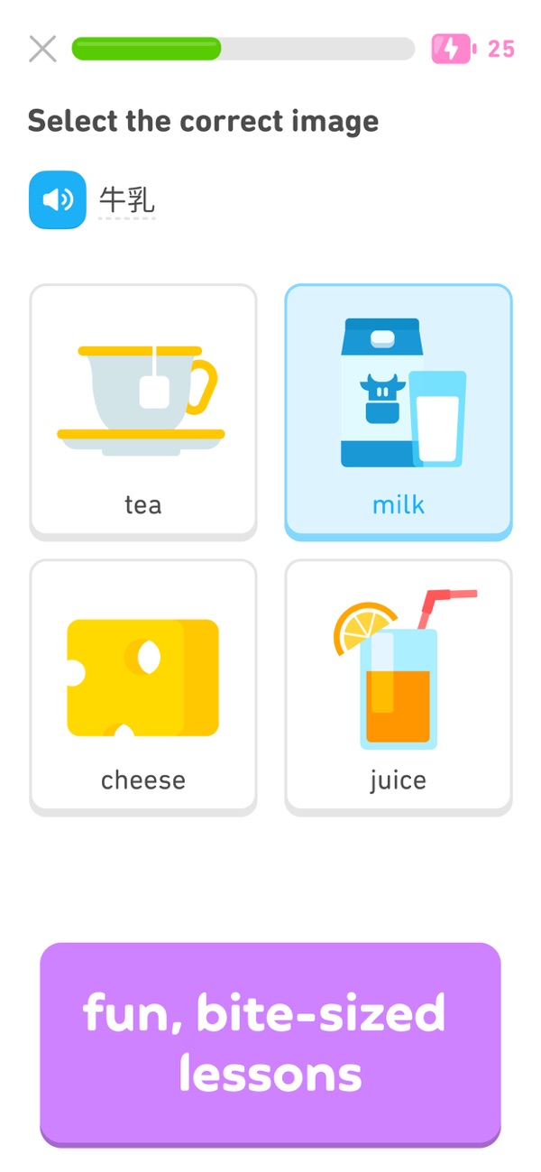 Duolingo iPhone screenshot 2