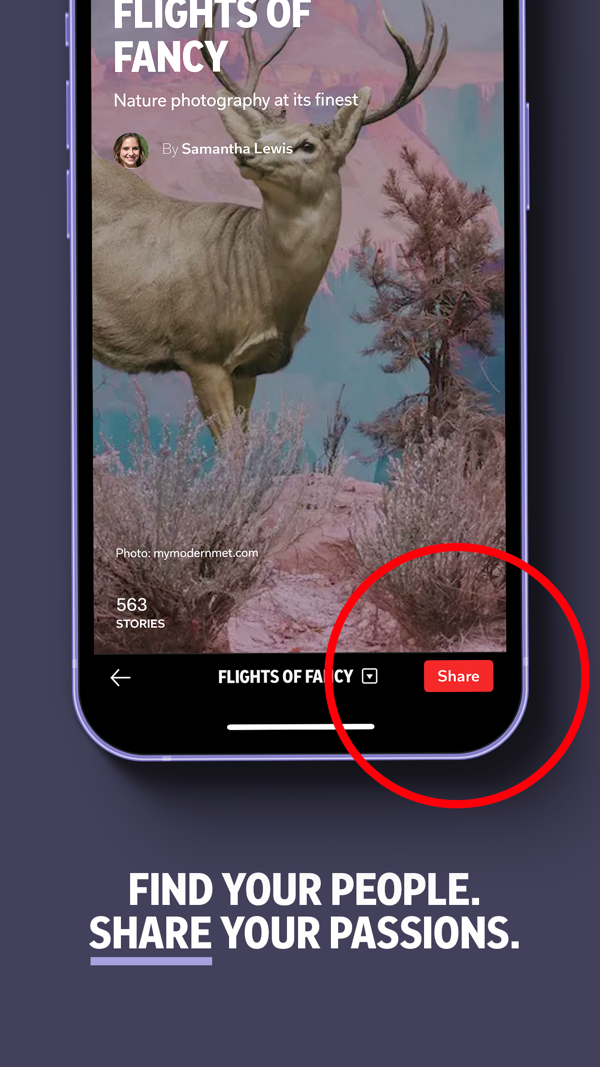 Flipboard iPhone screenshot 5