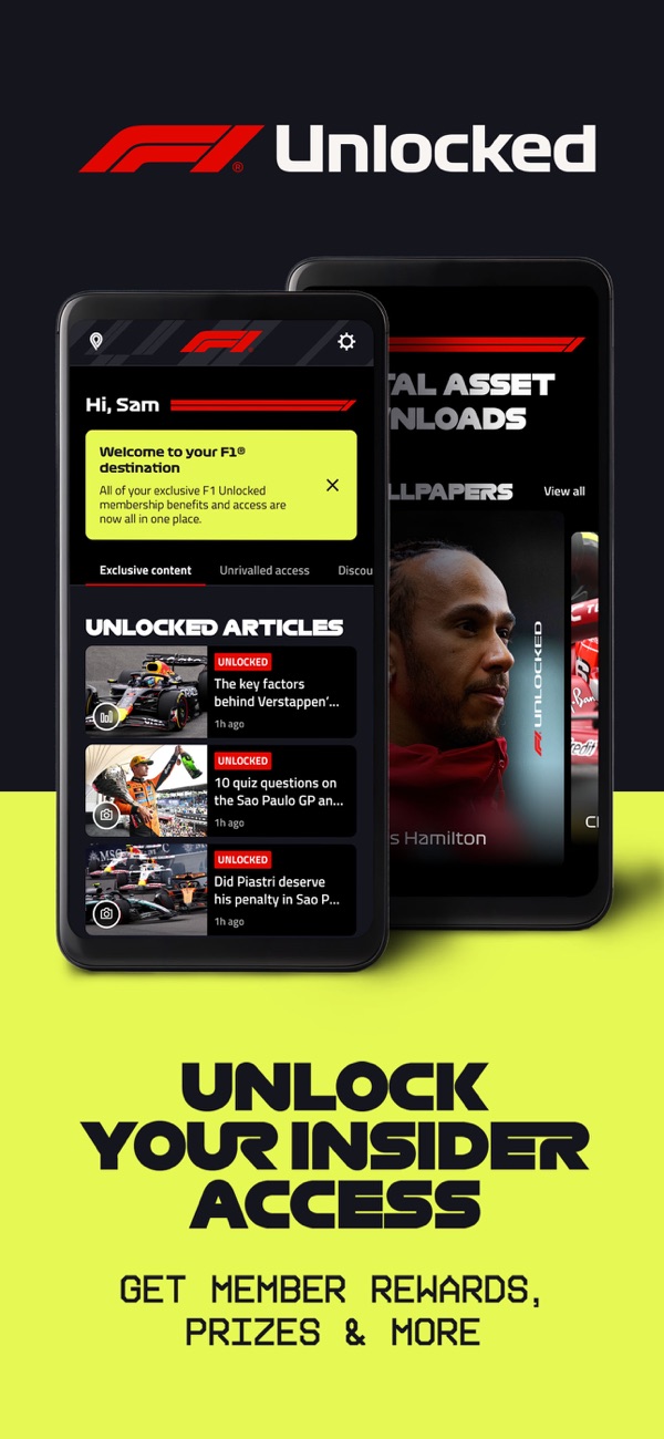 Formula 1® iPhone screenshot 8