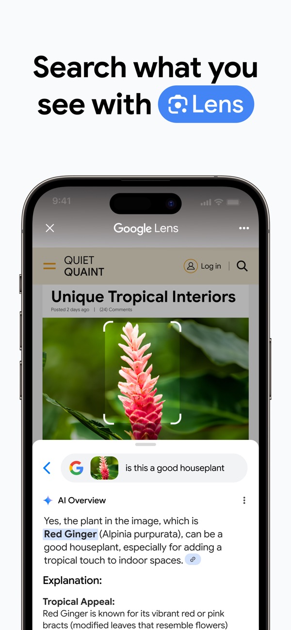 Google Chrome iPhone screenshot 3