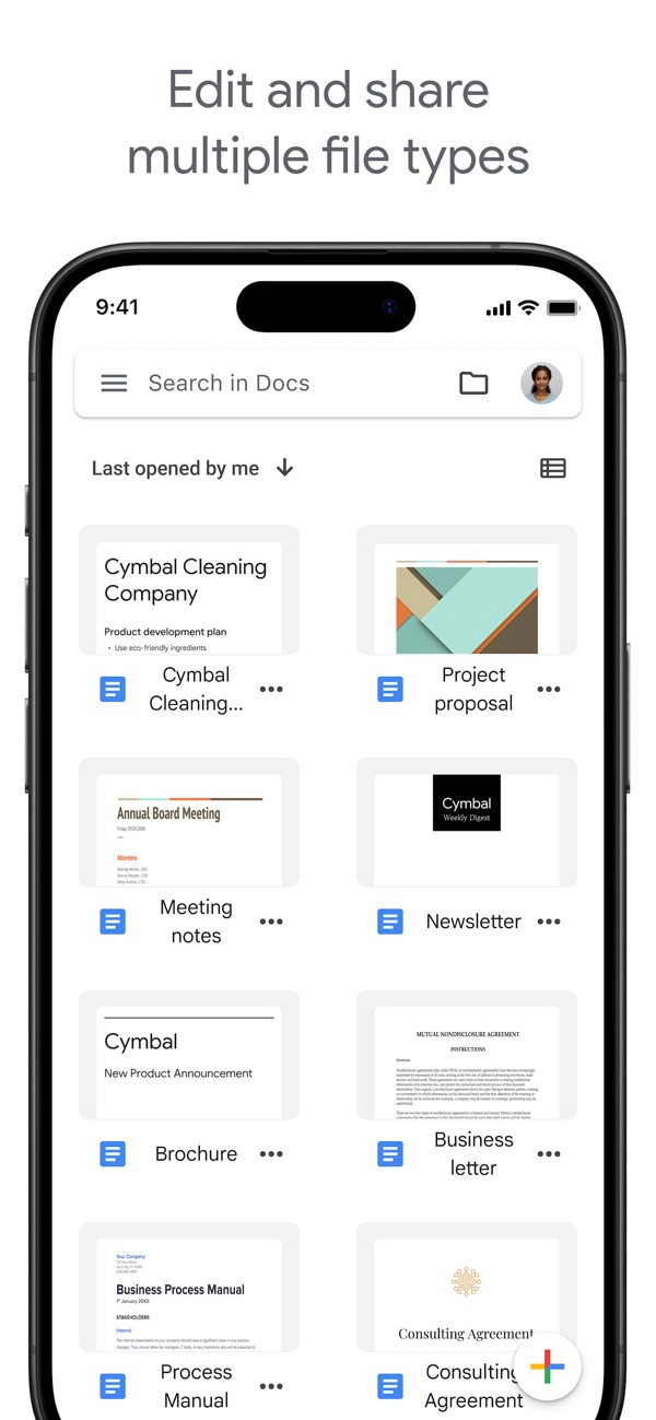 Google Docs iPhone screenshot 2