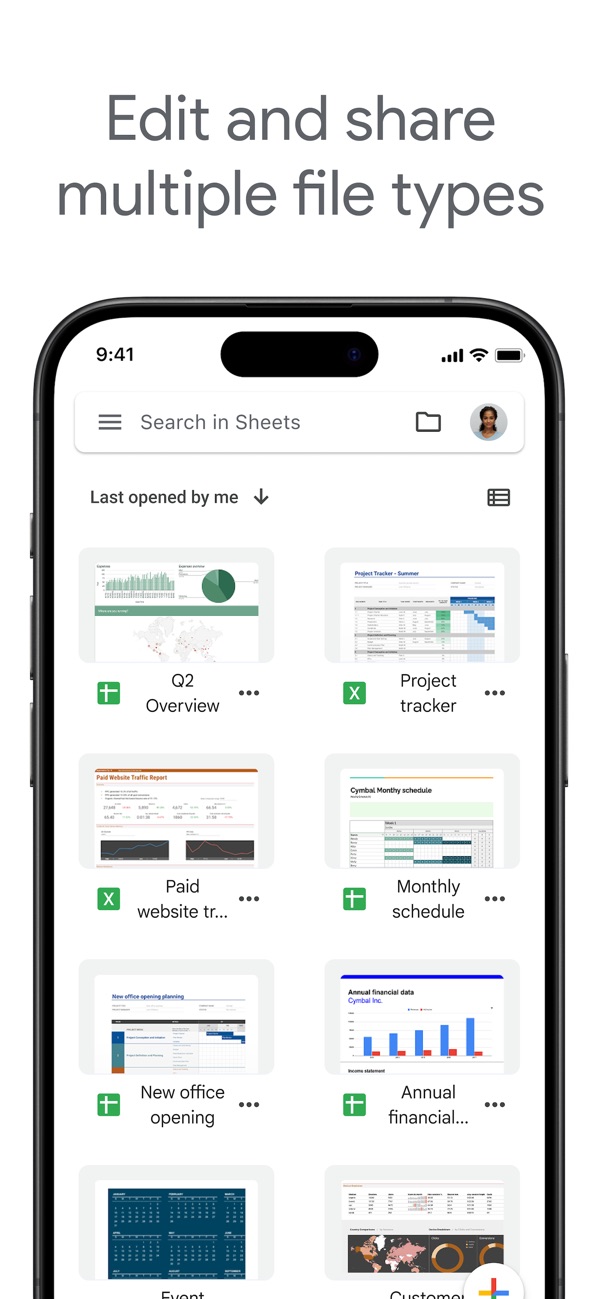 Google Sheets iPhone screenshot 3
