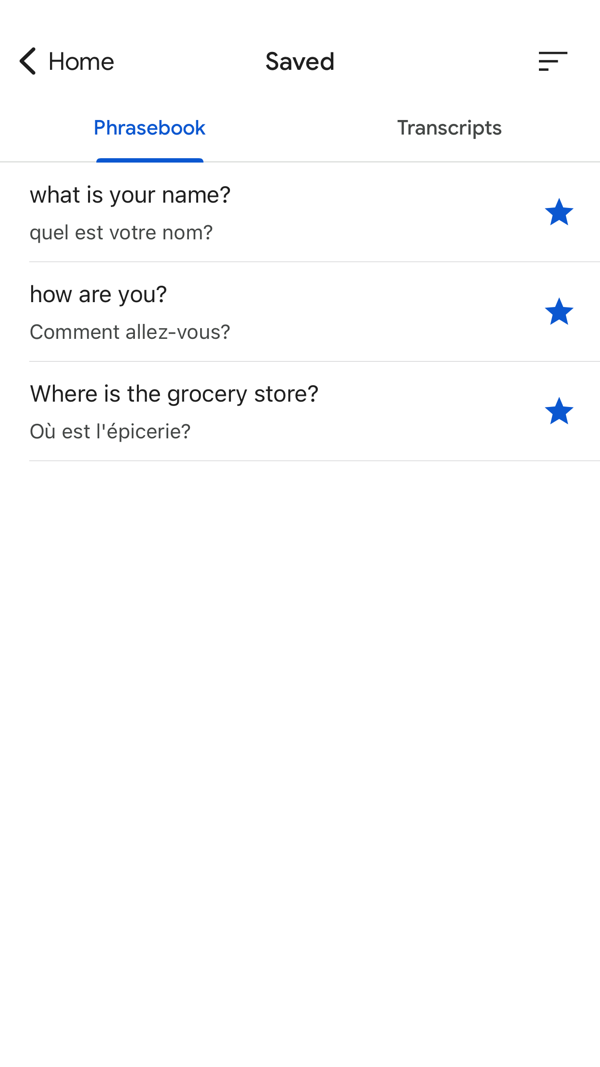 Google Translate iPhone screenshot 2