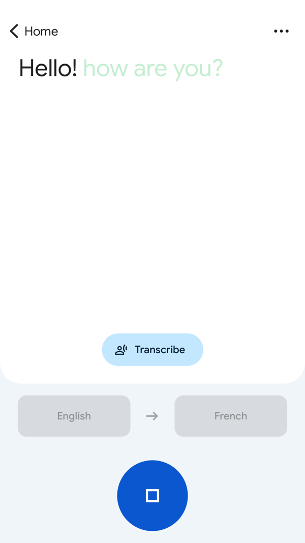 Google Translate iPhone screenshot 4