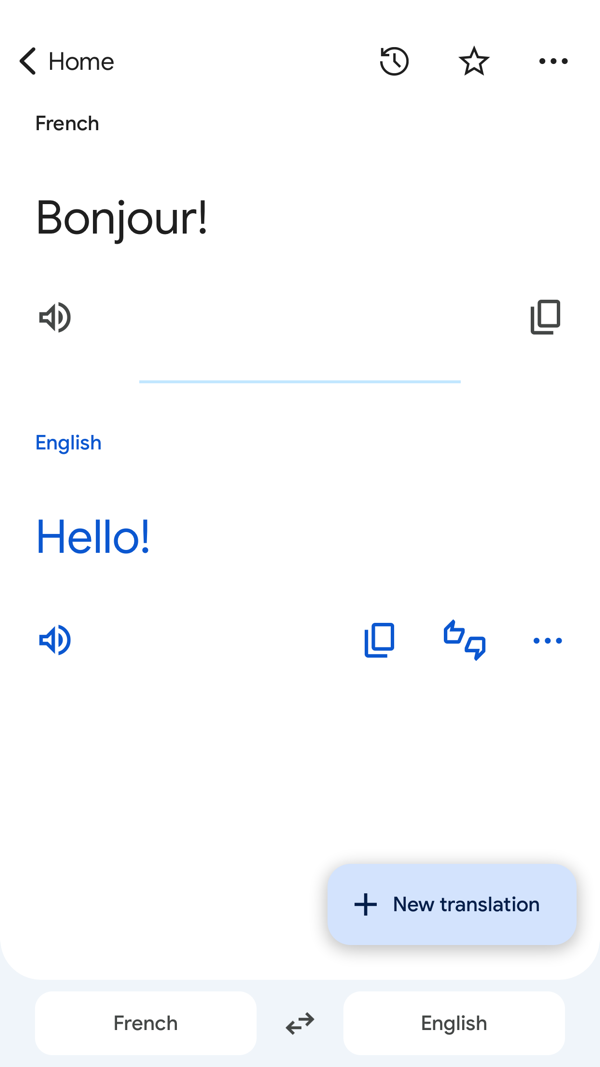 Google Translate iPhone screenshot 5