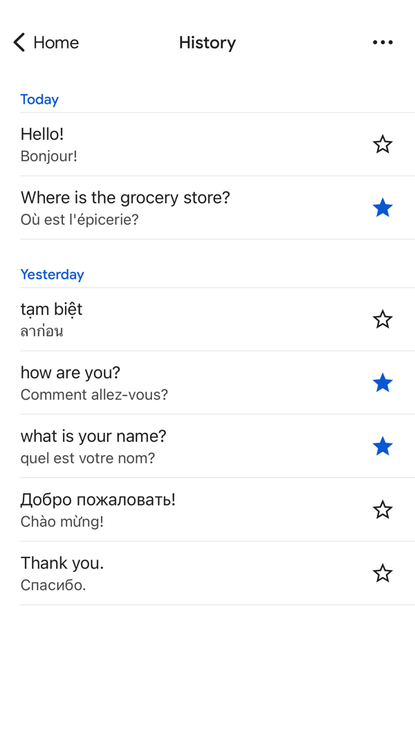 Google Translate iPhone screenshot 1