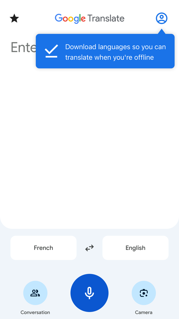 Google Translate iPhone screenshot 3
