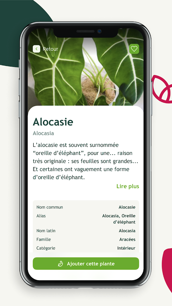 Groww Android phone screenshot 4