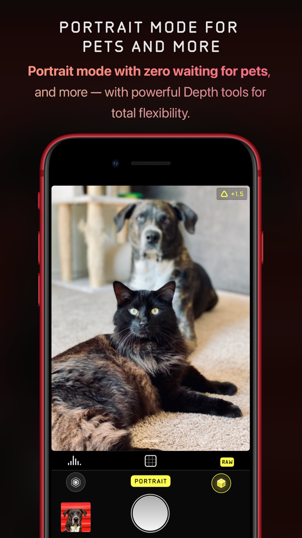 Halide Mark III iPhone screenshot 3