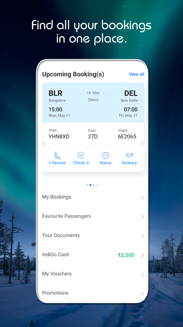 IndiGo iPhone screenshot 7