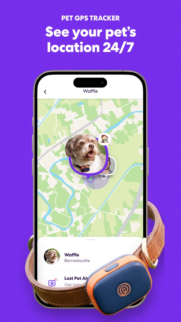 Life360 iPhone screenshot 6