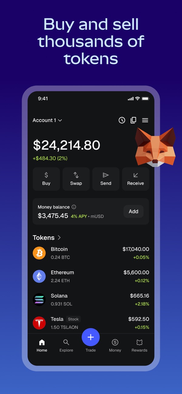 MetaMask iPhone screenshot 2