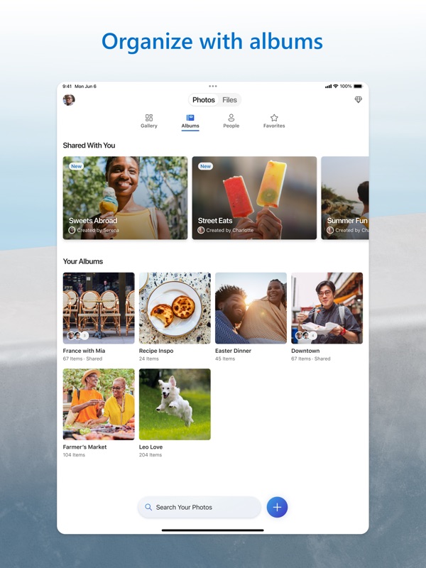 Microsoft OneDrive iPad screenshot 3