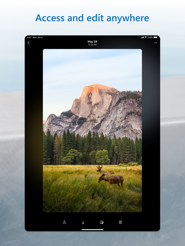 Microsoft OneDrive iPad screenshot 4