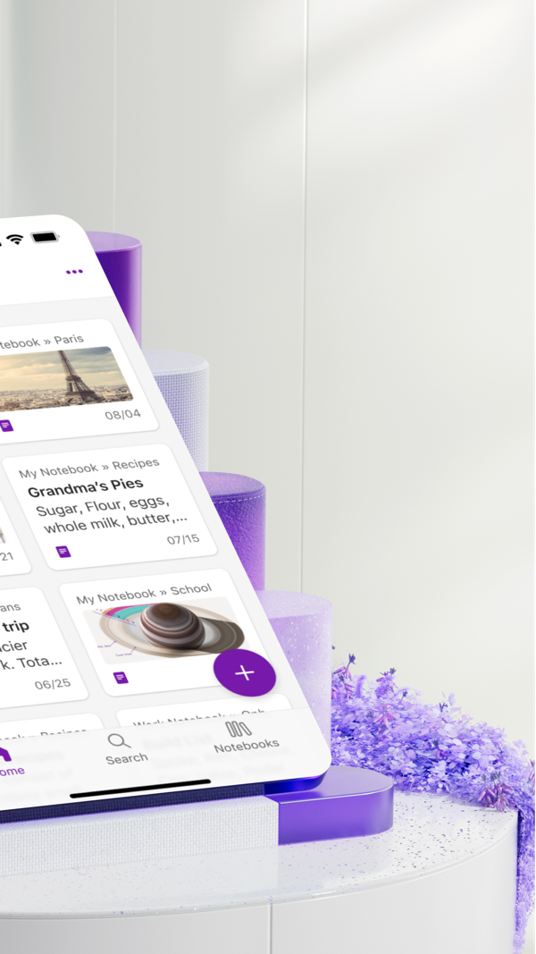Microsoft OneNote iPhone screenshot 2