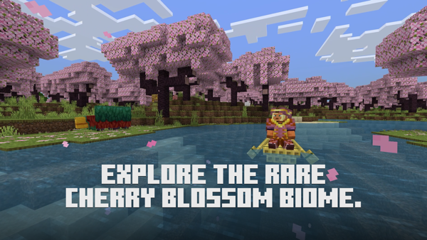 Minecraft iPhone screenshot 5
