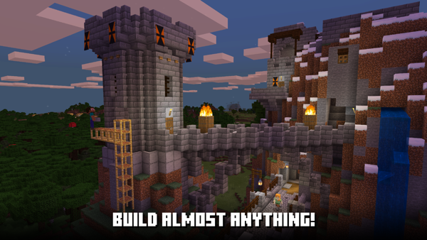 Minecraft iPhone screenshot 2