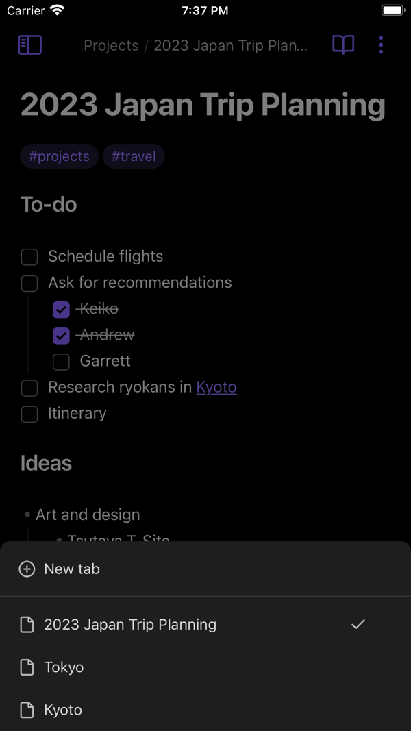 Obsidian iPhone screenshot 7
