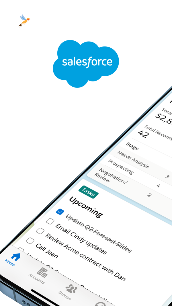 Salesforce iPhone screenshot 1