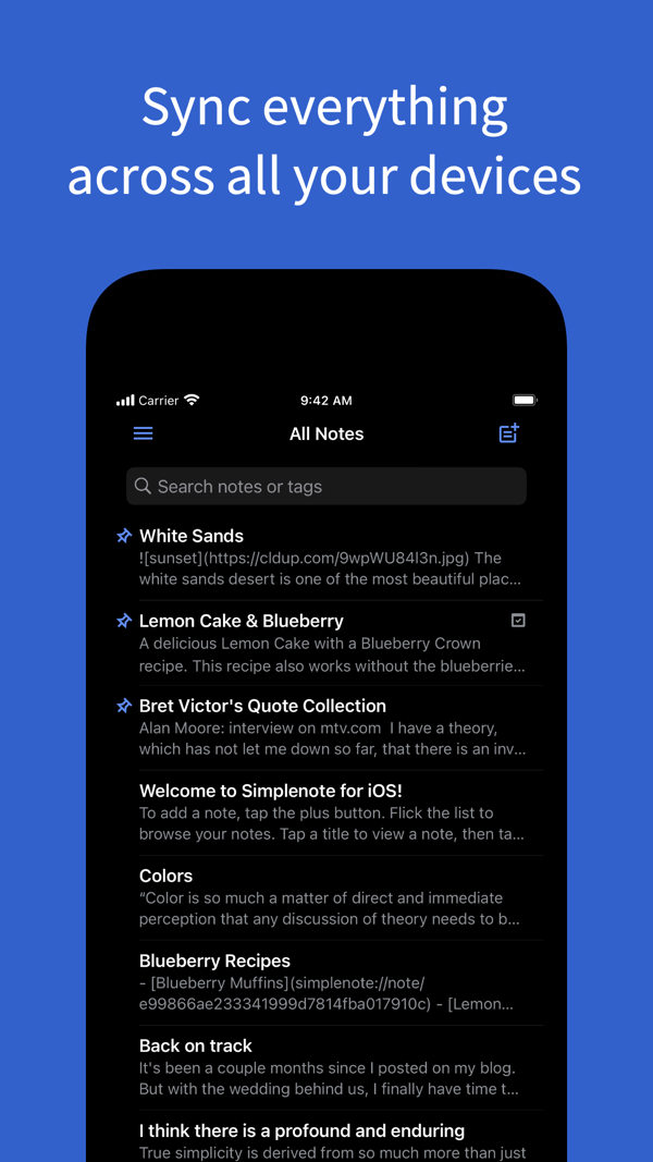 Simplenote iPhone screenshot 2