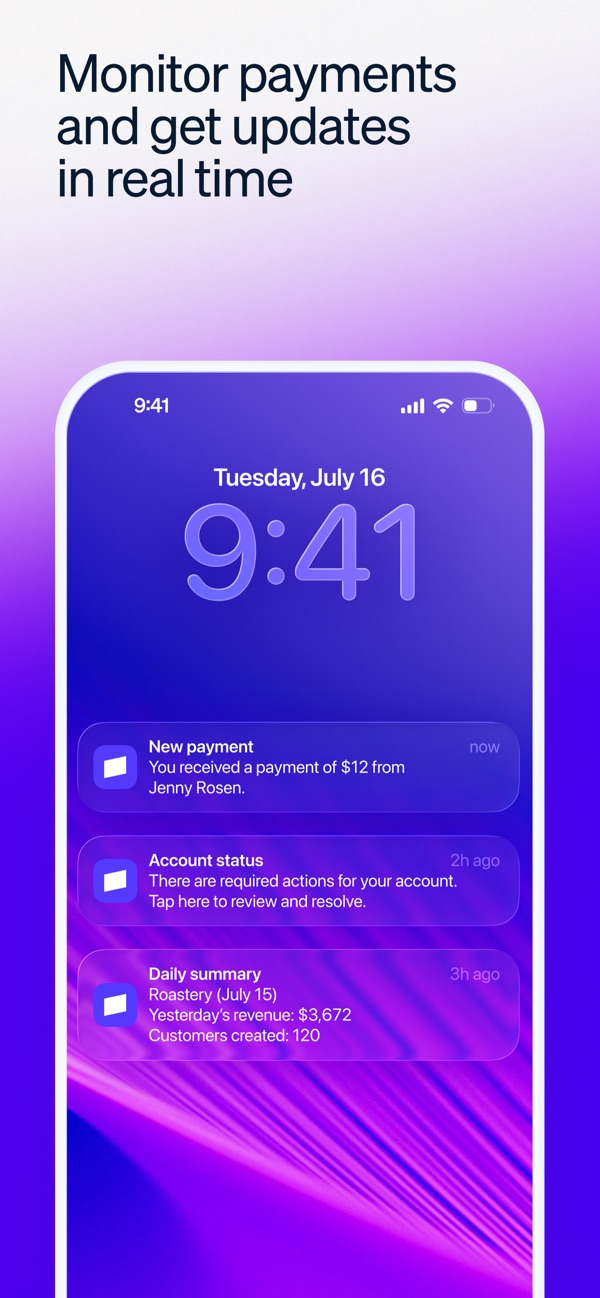 Stripe Dashboard iPhone screenshot 7