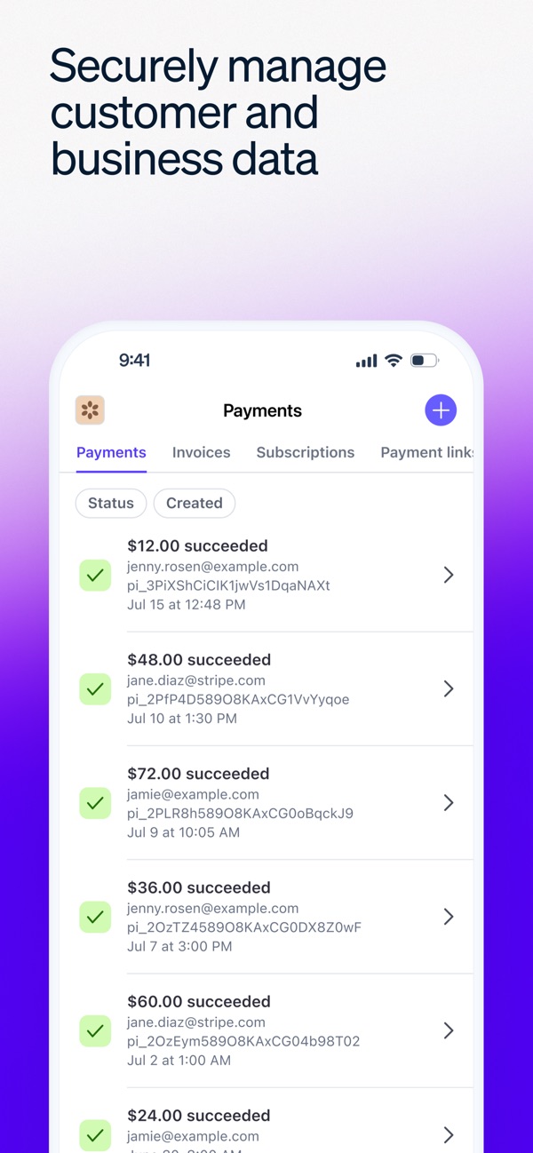 Stripe Dashboard iPhone screenshot 6