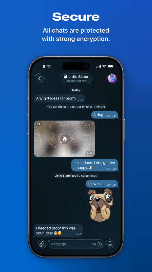 Telegram Messenger iPhone screenshot 4