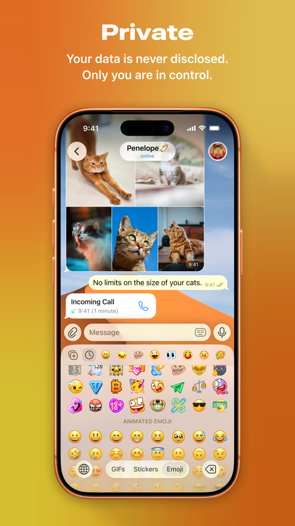 Telegram Messenger iPhone screenshot 3