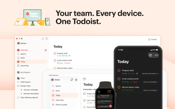 Todoist Mac screenshot 7